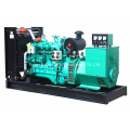 30kw 50kw Biogas Methane Gas Generator Without Canopy Open Type